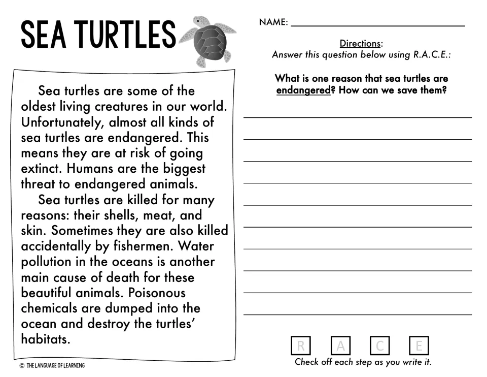 Sea turtles passage: students answer a two-part R.A.C.E. question on why they are endangered and how to save them