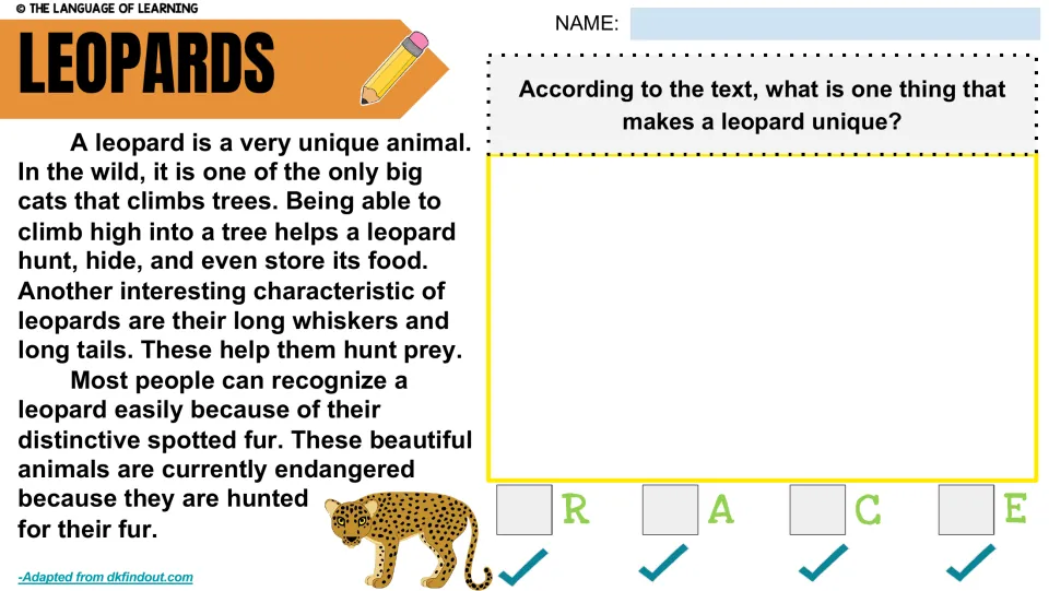 Leopard passage and writing prompt asking what makes a leopard unique, followed by a R.A.C.E. checklist
