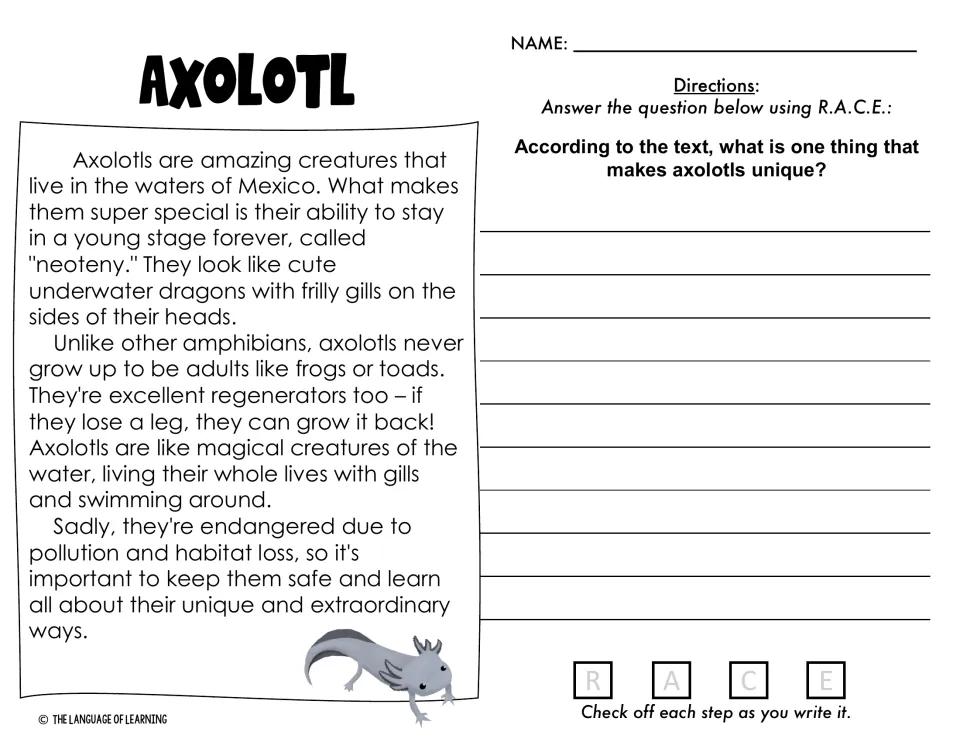 Axolotl reading passage: students answer what makes axolotls unique using R.A.C.E. and check off each step as they write