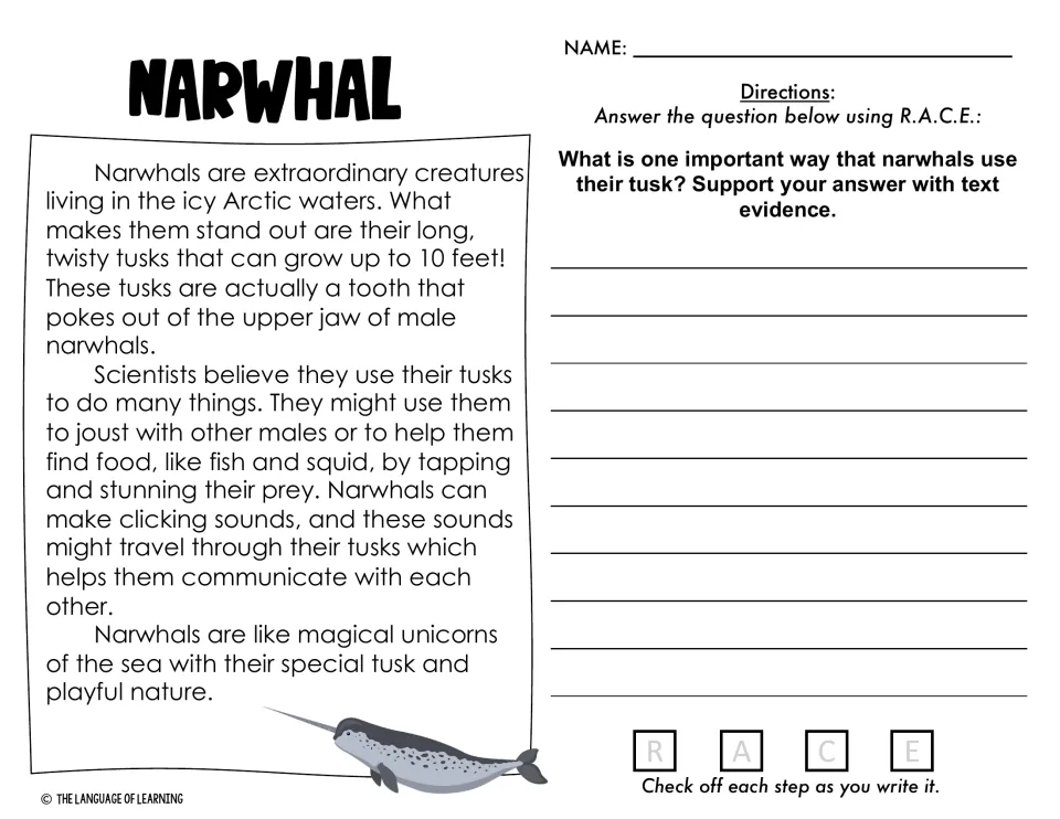 Narwhal reading passage: students give one way narwhals use their tusk and support it with text evidence using R.A.C.E.