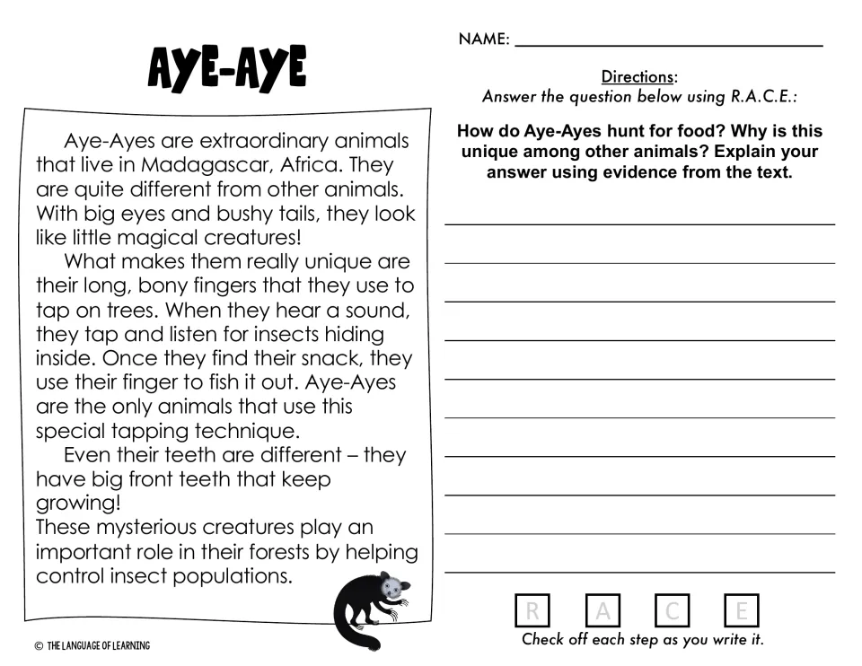 Aye-aye passage: students explain how aye-ayes tap trees to hunt insects and why it is unique, answering with R.A.C.E.