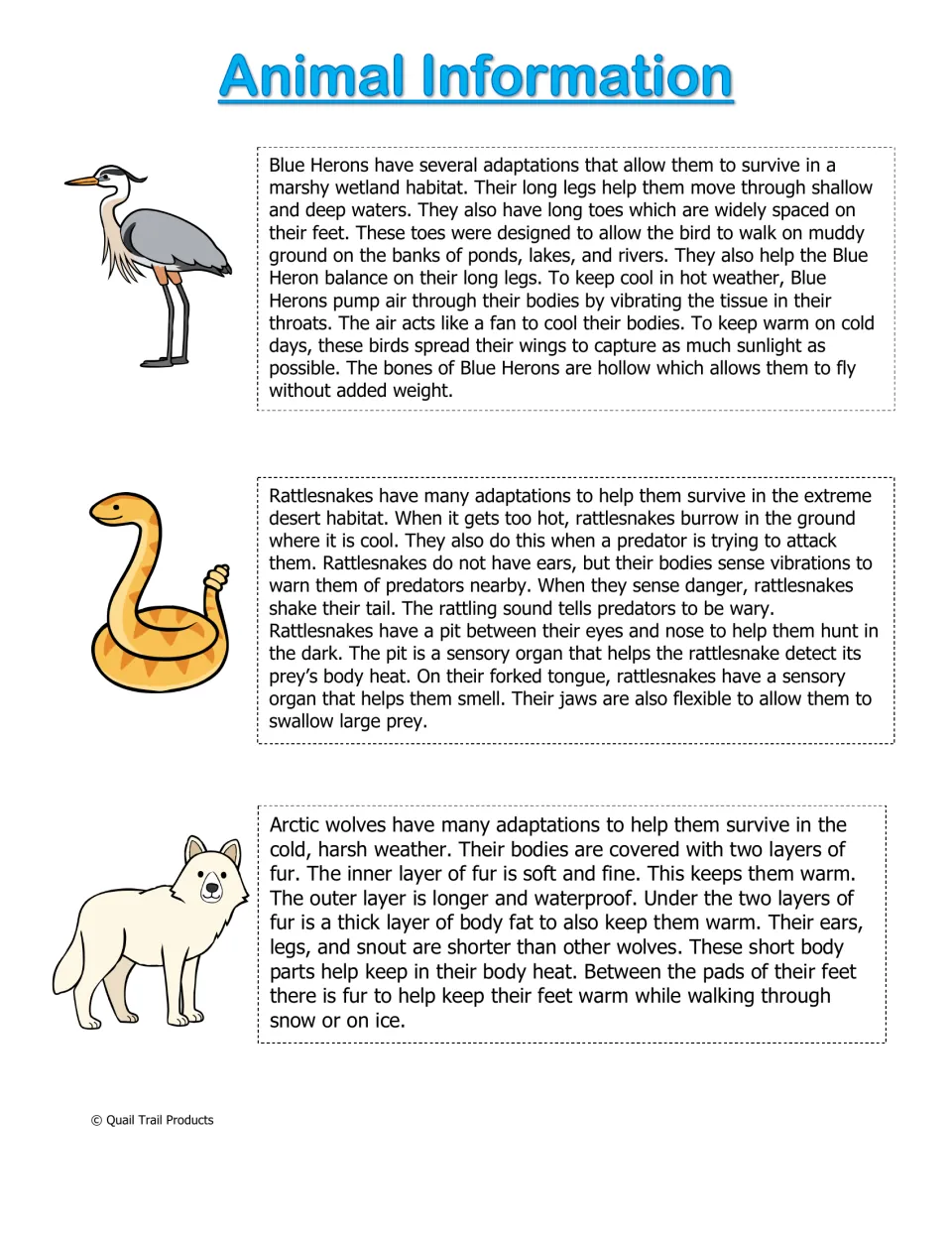 Animal Information: passages on how blue herons, desert rattlesnakes and arctic wolves adapt to wetland, desert and cold