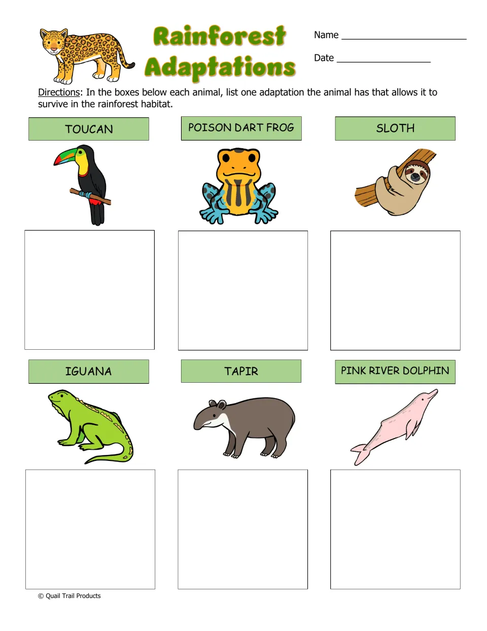 Rainforest Adaptations: students list one adaptation for toucan, poison dart frog, sloth, iguana, tapir and pink dolphin