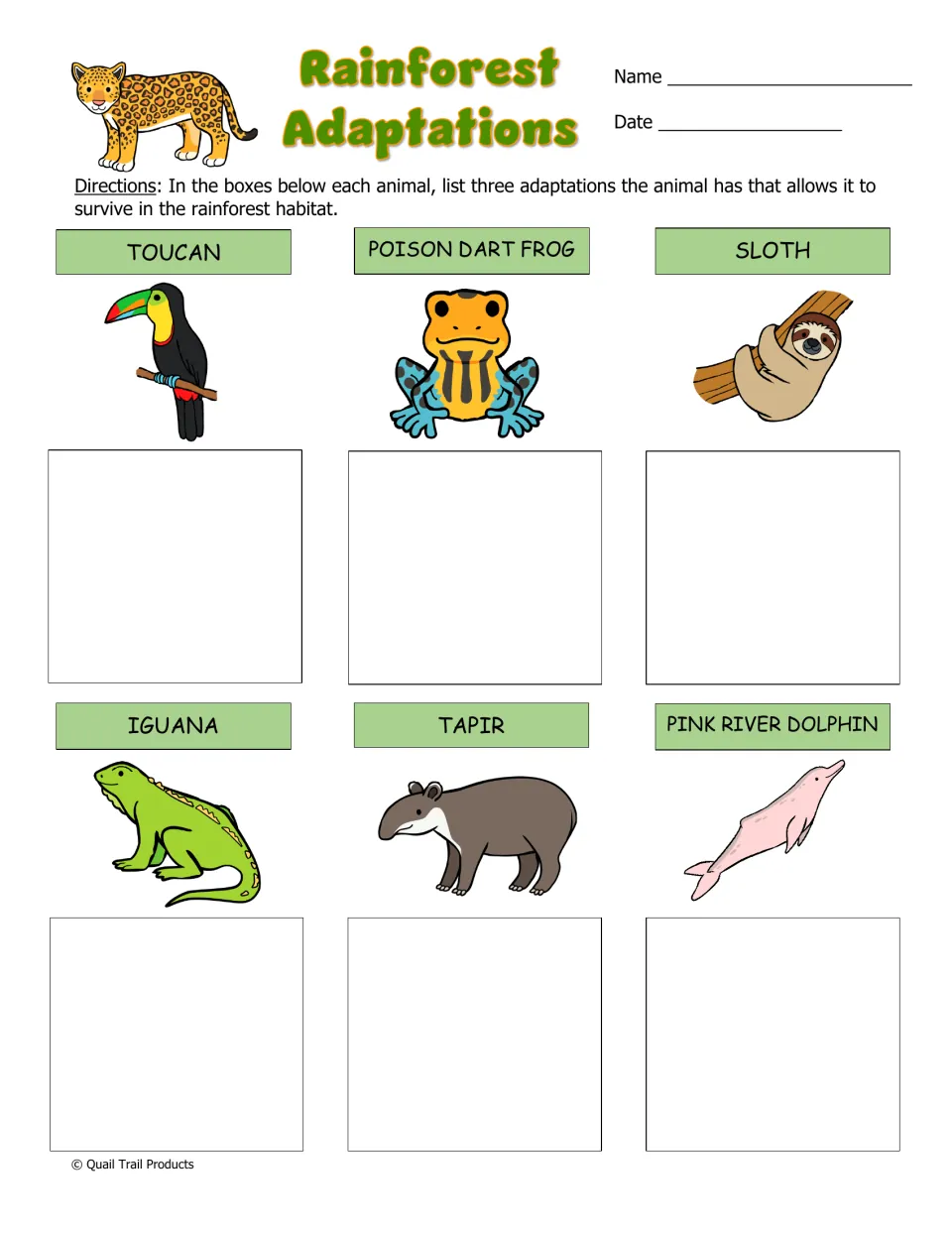 Rainforest Adaptations: students recall three adaptations for toucan, frog, sloth, iguana, tapir and pink river dolphin