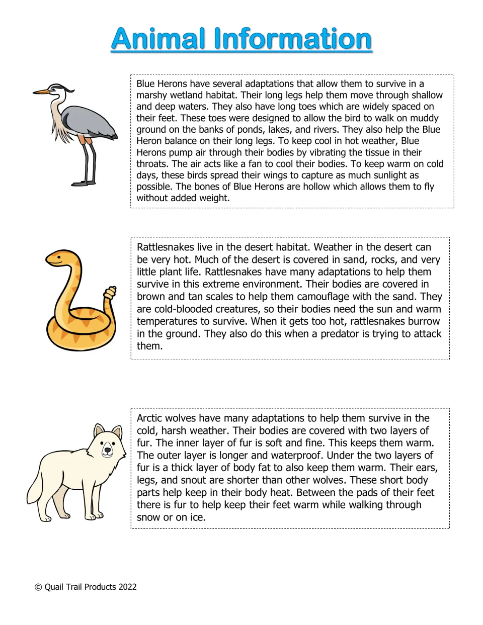Animal Information on non-rainforest animals: students read about blue heron, rattlesnake and arctic wolf adaptations