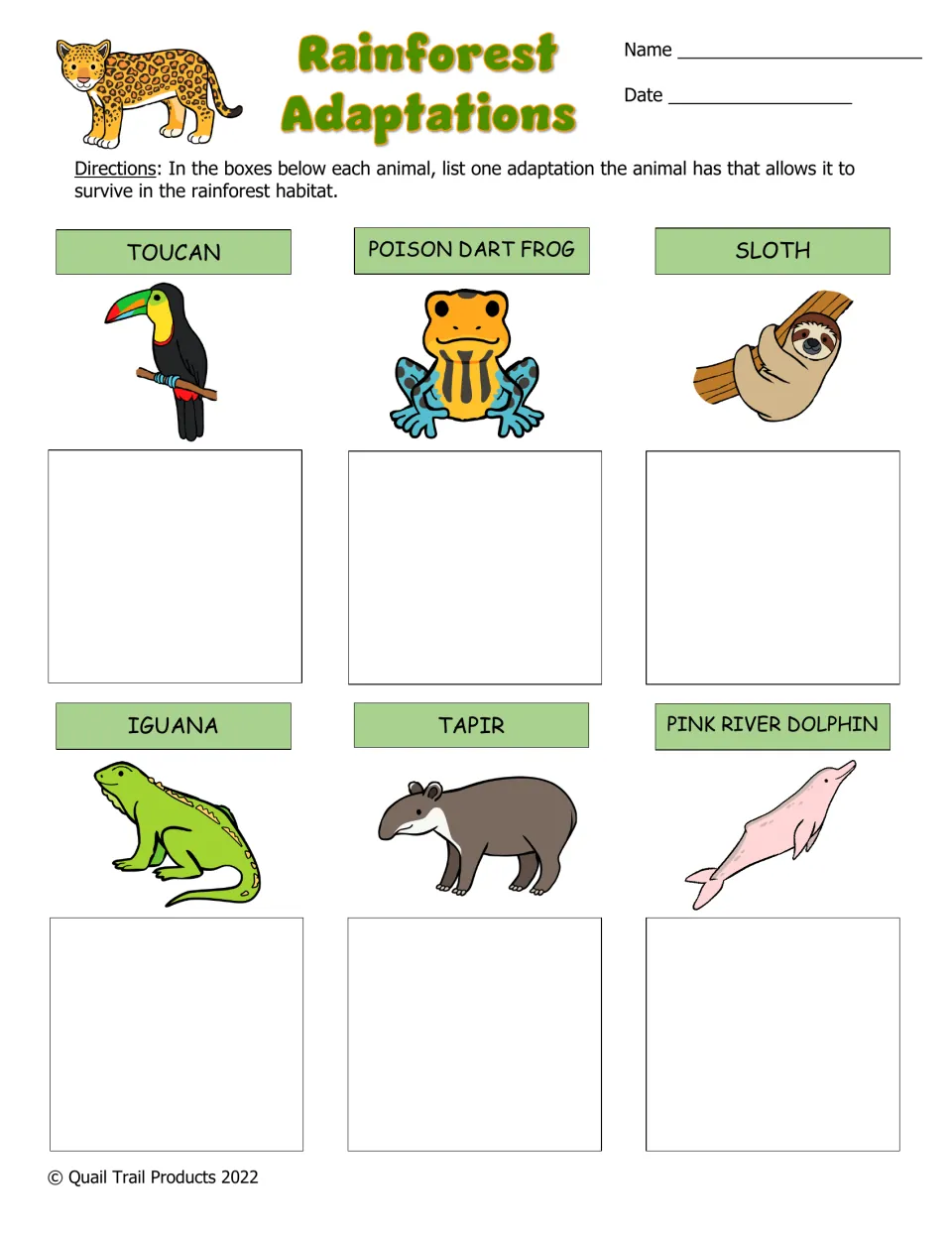 Rainforest Adaptations: students name one adaptation for the toucan, poison dart frog, sloth, iguana, tapir and dolphin