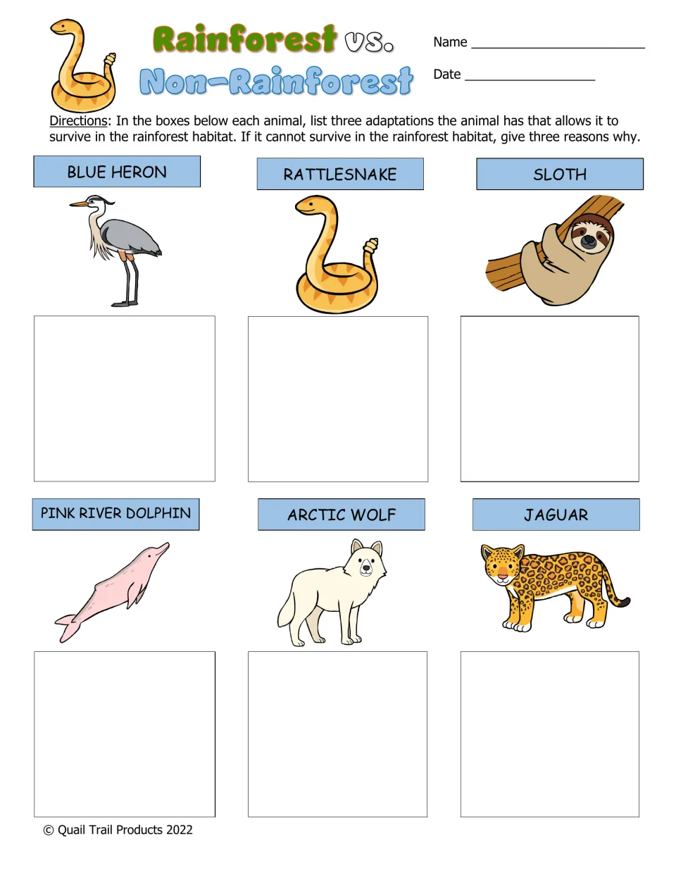 Rainforest vs. Non-Rainforest, level three: students write three adaptations or reasons for sloth, jaguar, arctic wolf