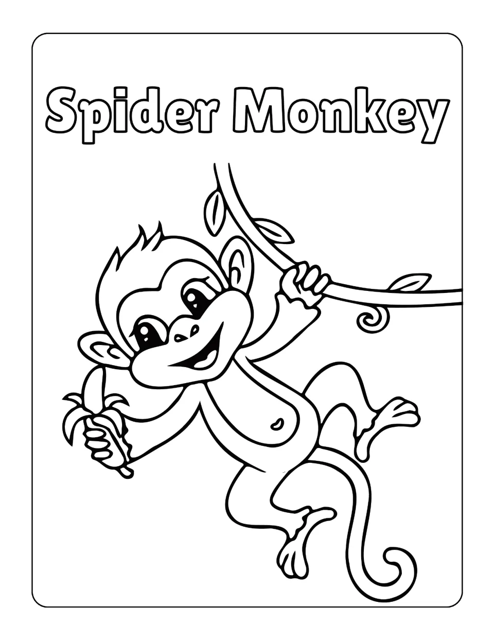 Spider monkey: students color a cheerful monkey swinging from a leafy vine with one hand while holding a peeled banana