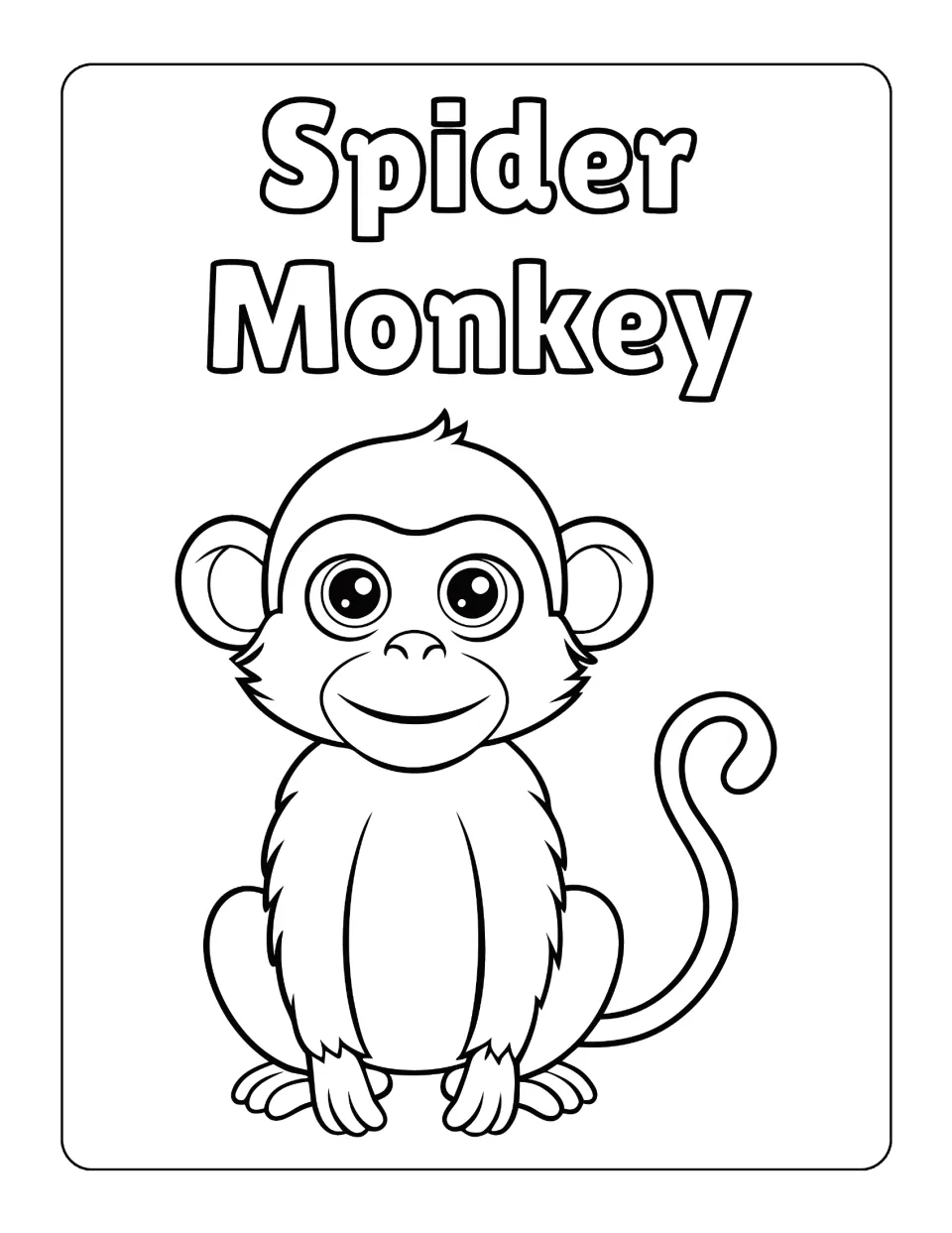 Spider monkey portrait: students color a smiling, wide-eyed monkey sitting upright with a curled tail beneath its name