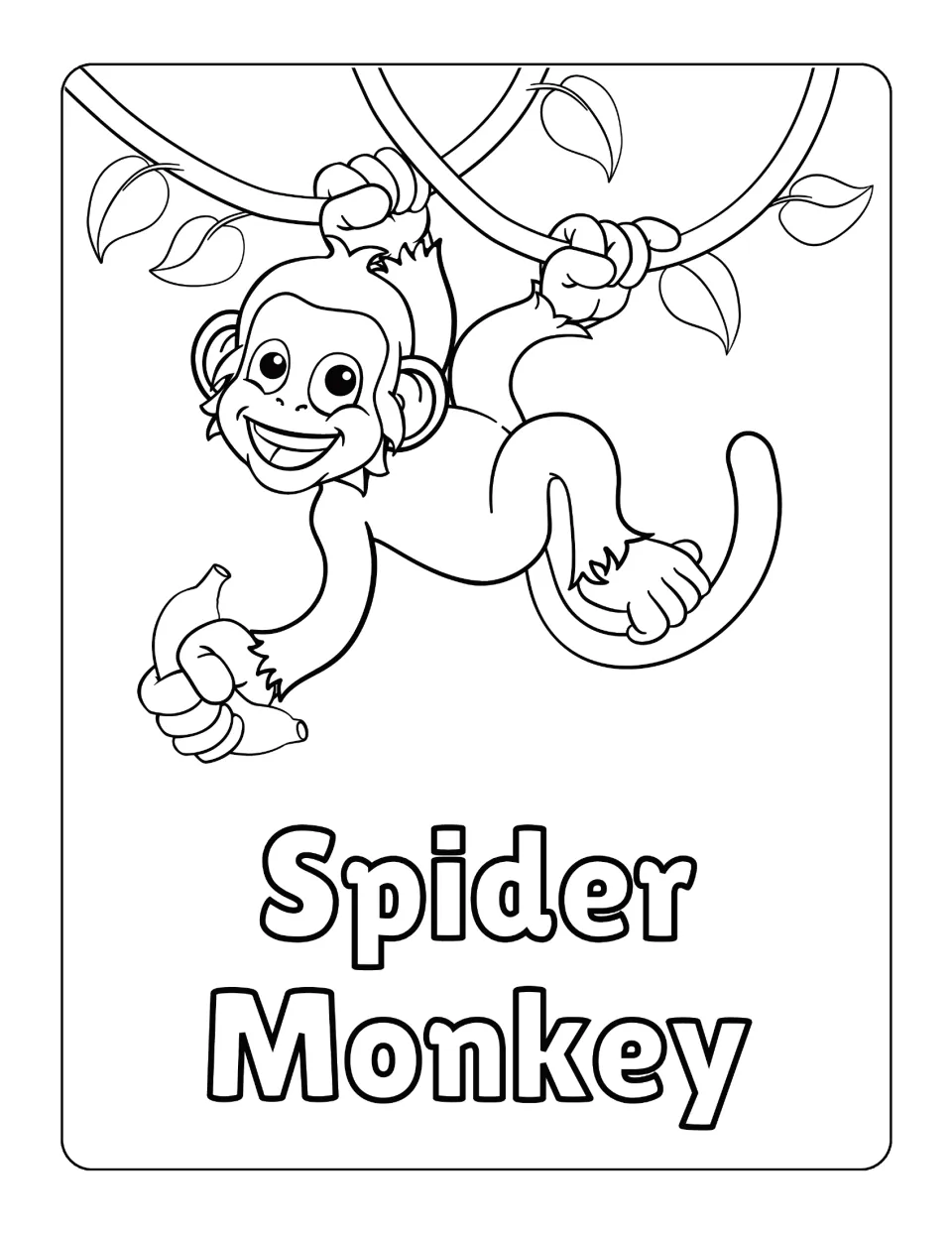 Spider monkey on vines: students color a monkey hanging from two leafy vines and gripping a banana, its name printed below