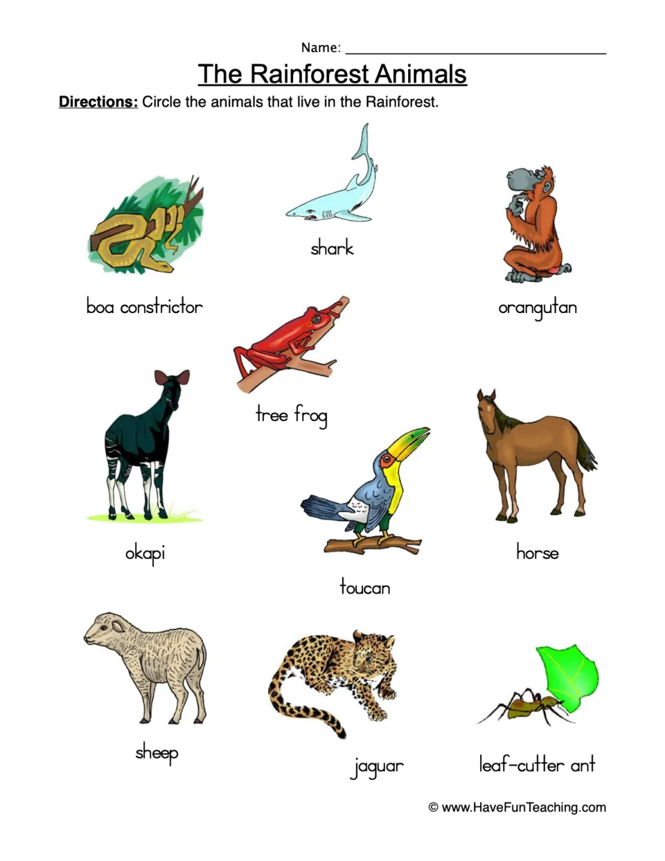 The Rainforest Animals: students circle the rainforest dwellers among 10 pictures, such as toucan, okapi, shark and sheep