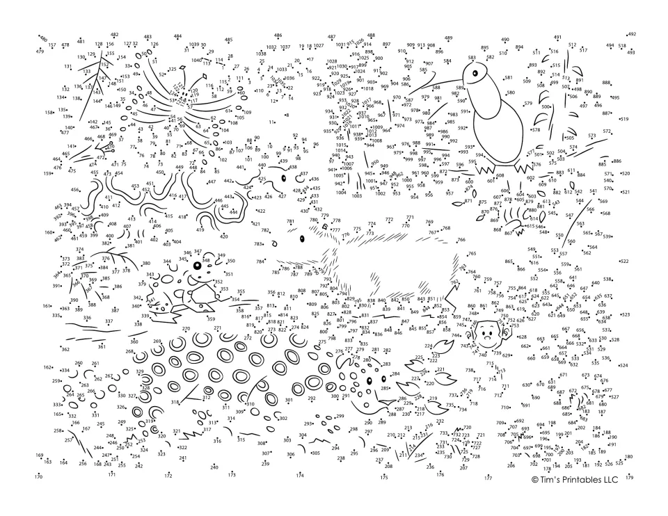 Rainforest dot-to-dot: students connect over 1,000 numbered dots in order to reveal a toucan, jaguar, monkey and more
