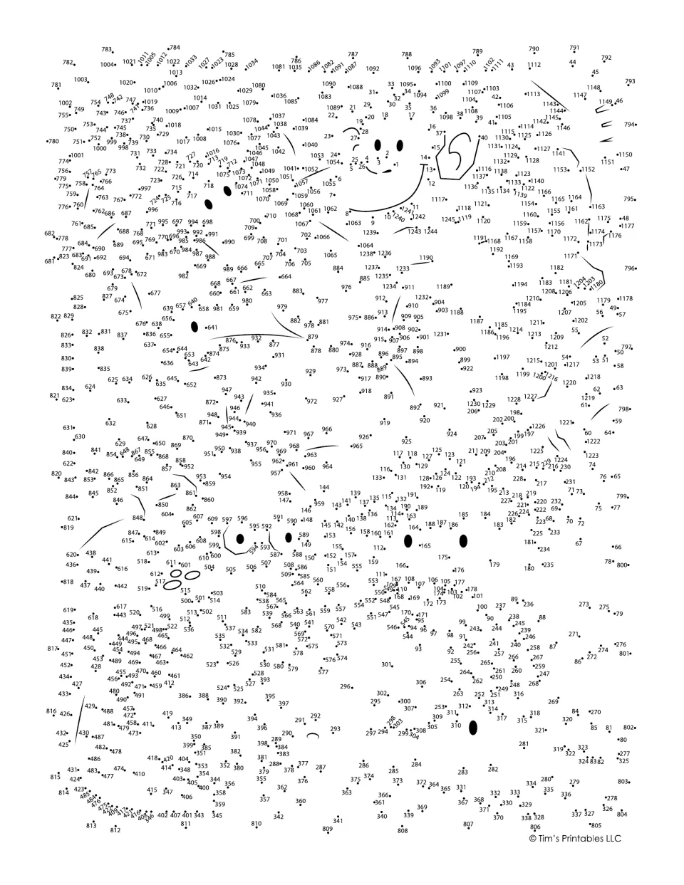 Rainforest dot-to-dot puzzle: students connect over 1,200 numbered dots in order to reveal a hidden jungle scene