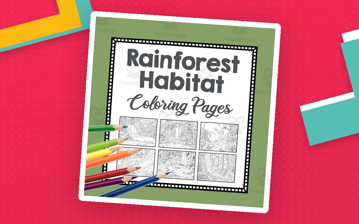 Rainforest Habitat Coloring Pages | Line Art Templates | Biome Art Project | Jungle preview