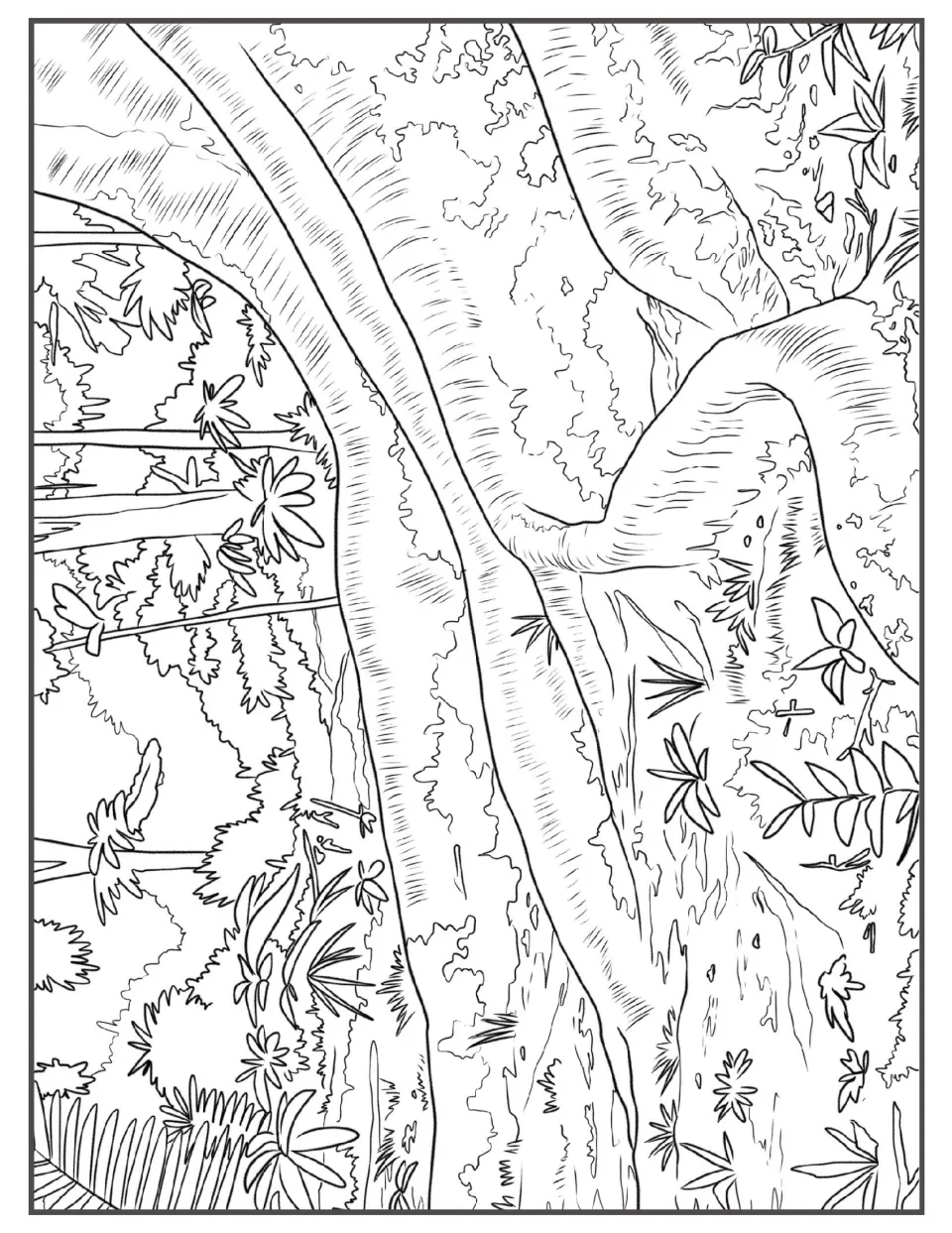 Rainforest coloring page: a huge leaning tree trunk and branch framed by palms, ferns and broad jungle leaves to color