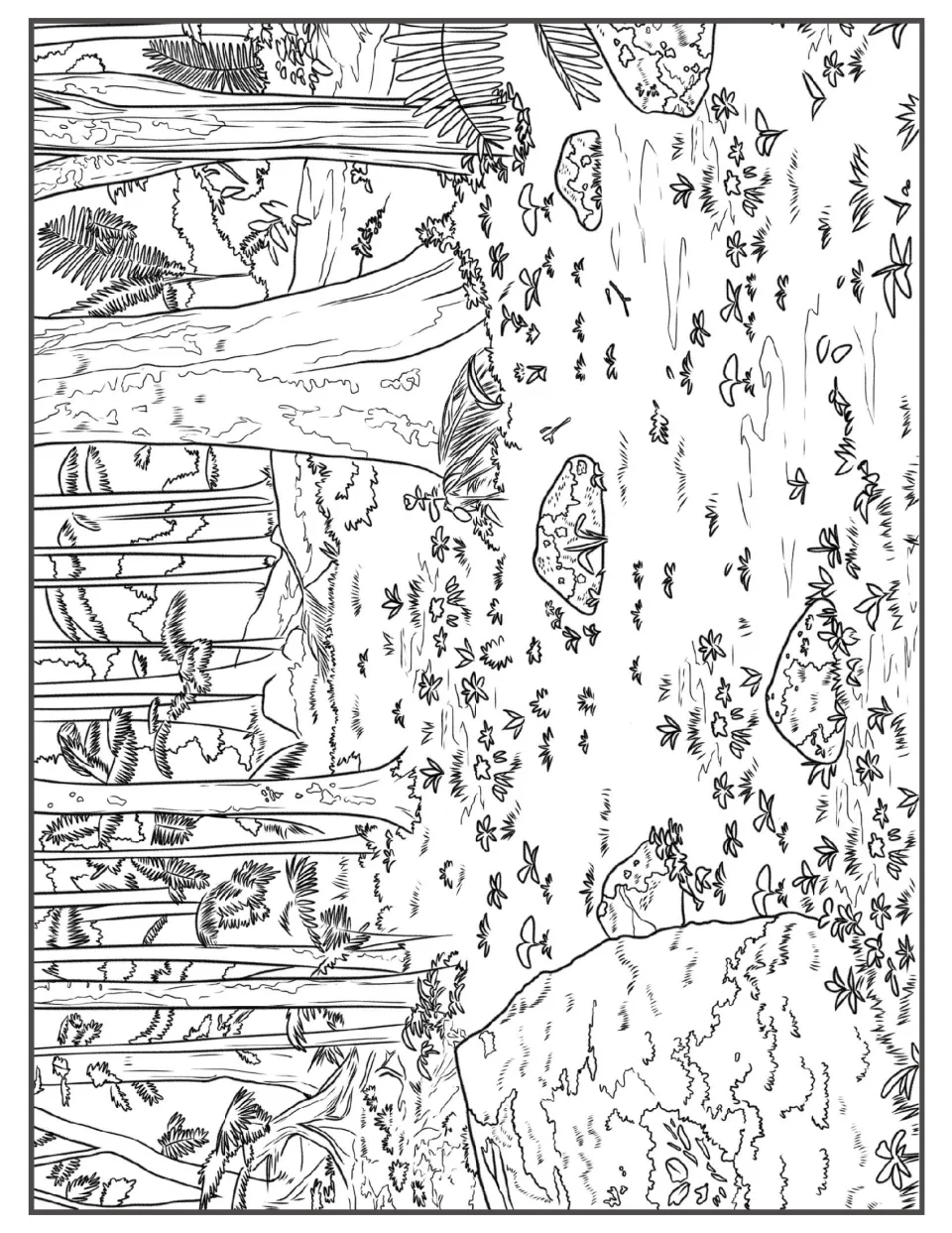Rainforest floor coloring scene: tall straight trunks, mossy rocks, a fallen log and scattered leaves for students to color
