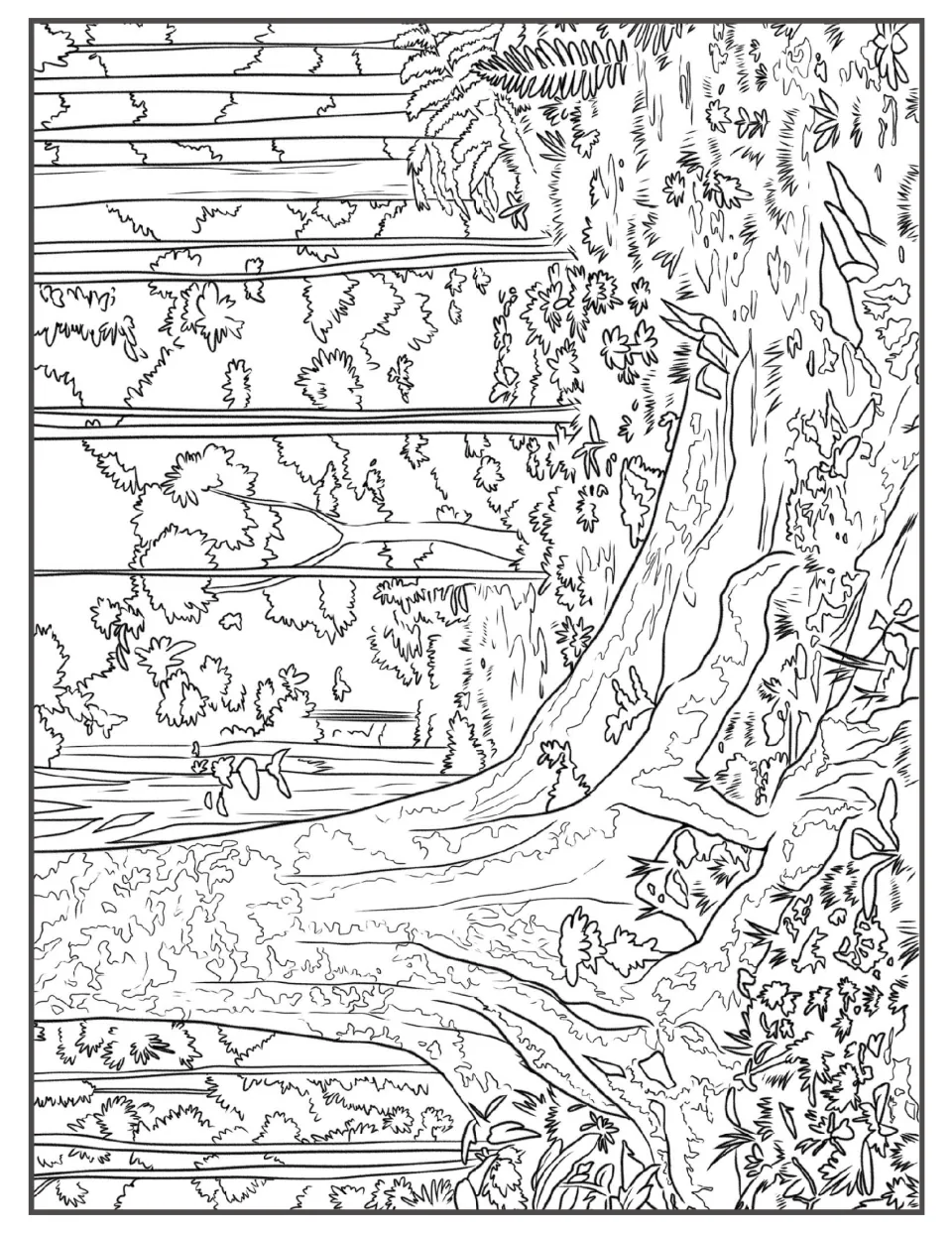 Jungle coloring scene of a giant tree with spreading buttress roots in front of rows of tall thin trunks and leafy shrubs