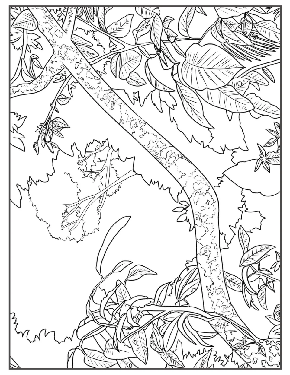 Canopy view coloring page: a mottled tree branch crossing the sky, draped with large heart-shaped leaves and vines