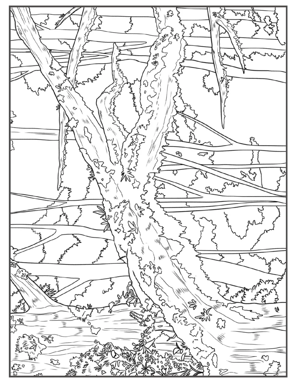 Line-art scene of a forked mossy tree trunk leaning over a shallow stream, with tree trunks and foliage behind it