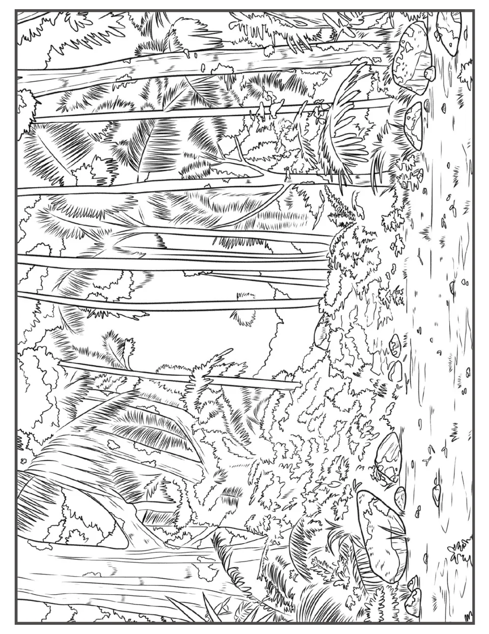 Jungle stream coloring page: palm fronds and dense shrubs line a creek bank dotted with smooth rocks and pebbles