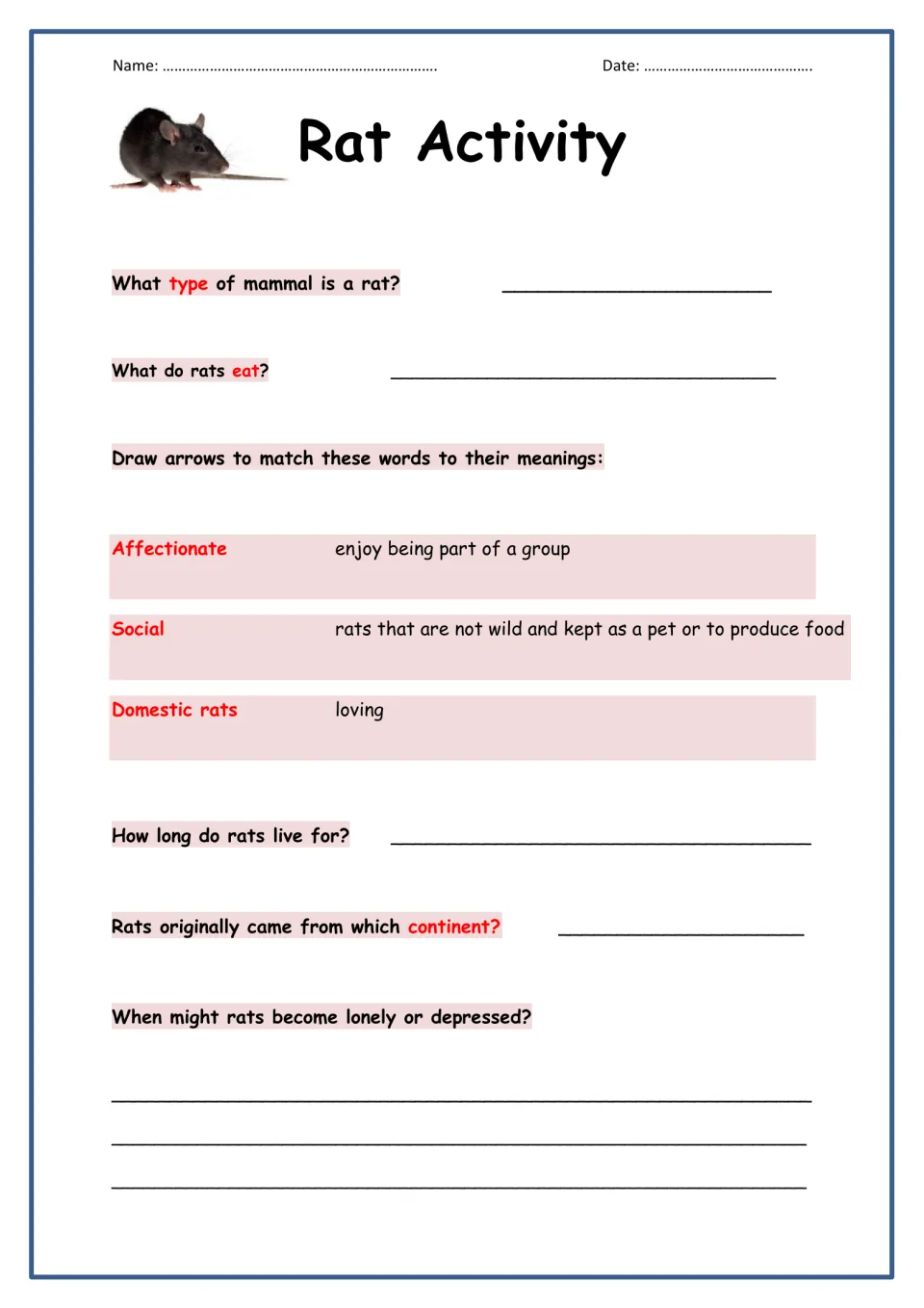 Rat Activity: students answer questions on rat diet, lifespan and origin and match three words to meanings