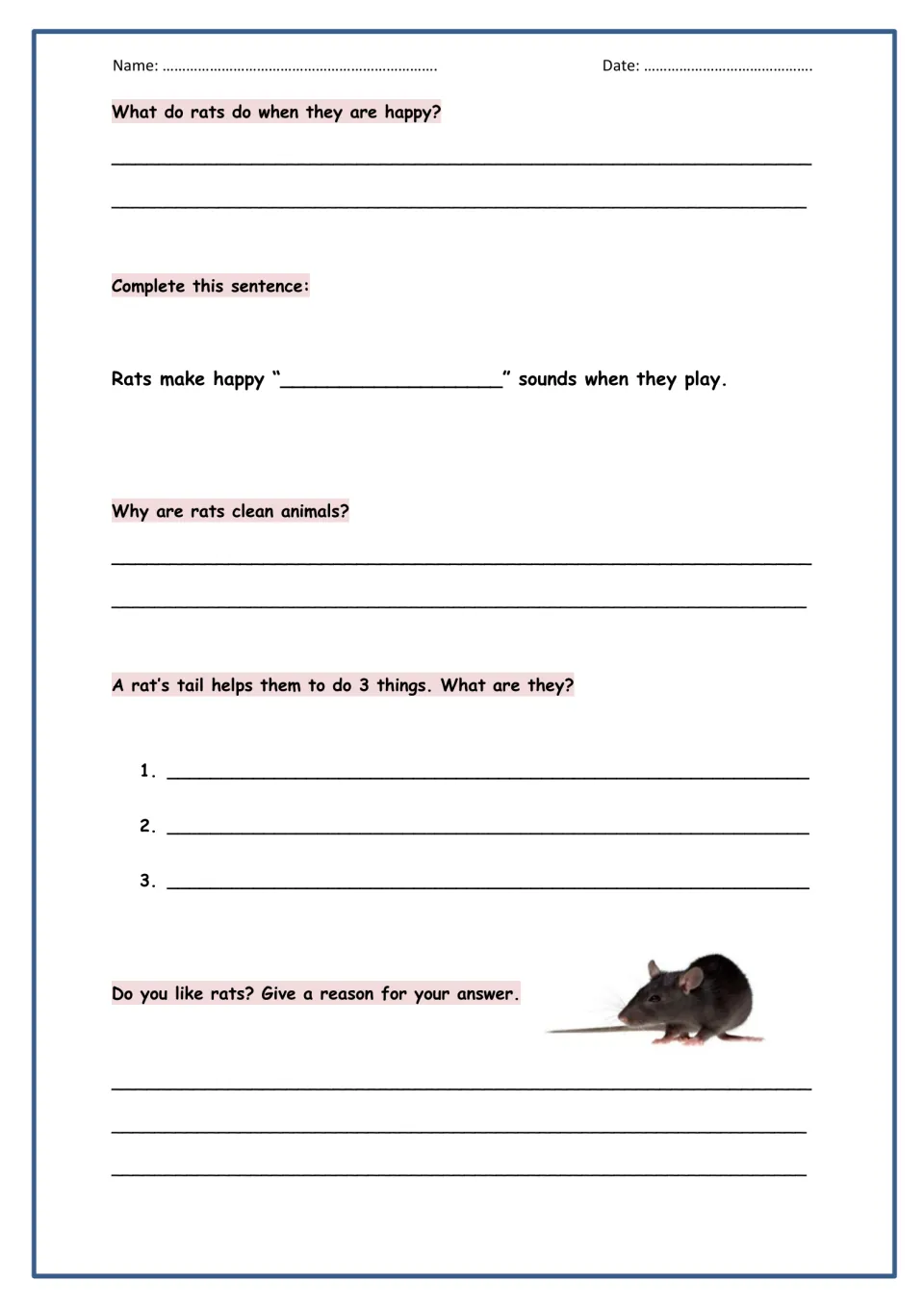 More rat questions: students explain happy behavior and cleanliness, list three tail uses and give an opinion on rats