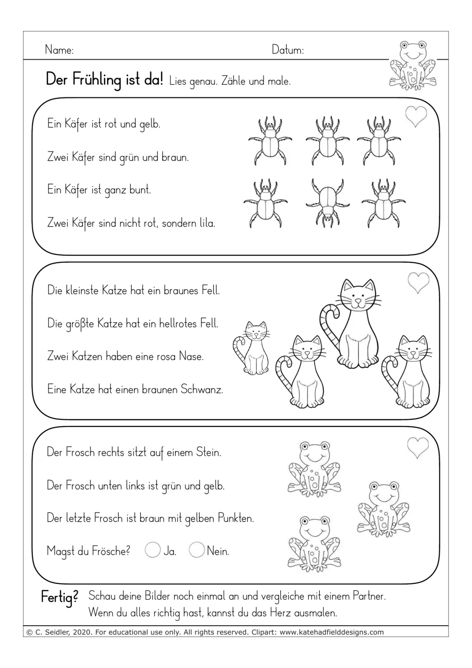 German reading-and-coloring worksheet 8: beetles, cats, and frogs, plus a yes-or-no question about frogs
