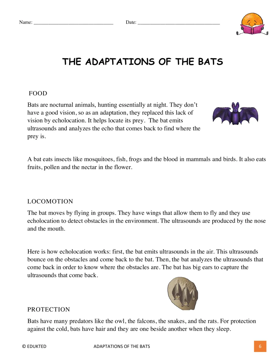 First bat passage page covers food, flight, echolocation, predators, and protection from the cold