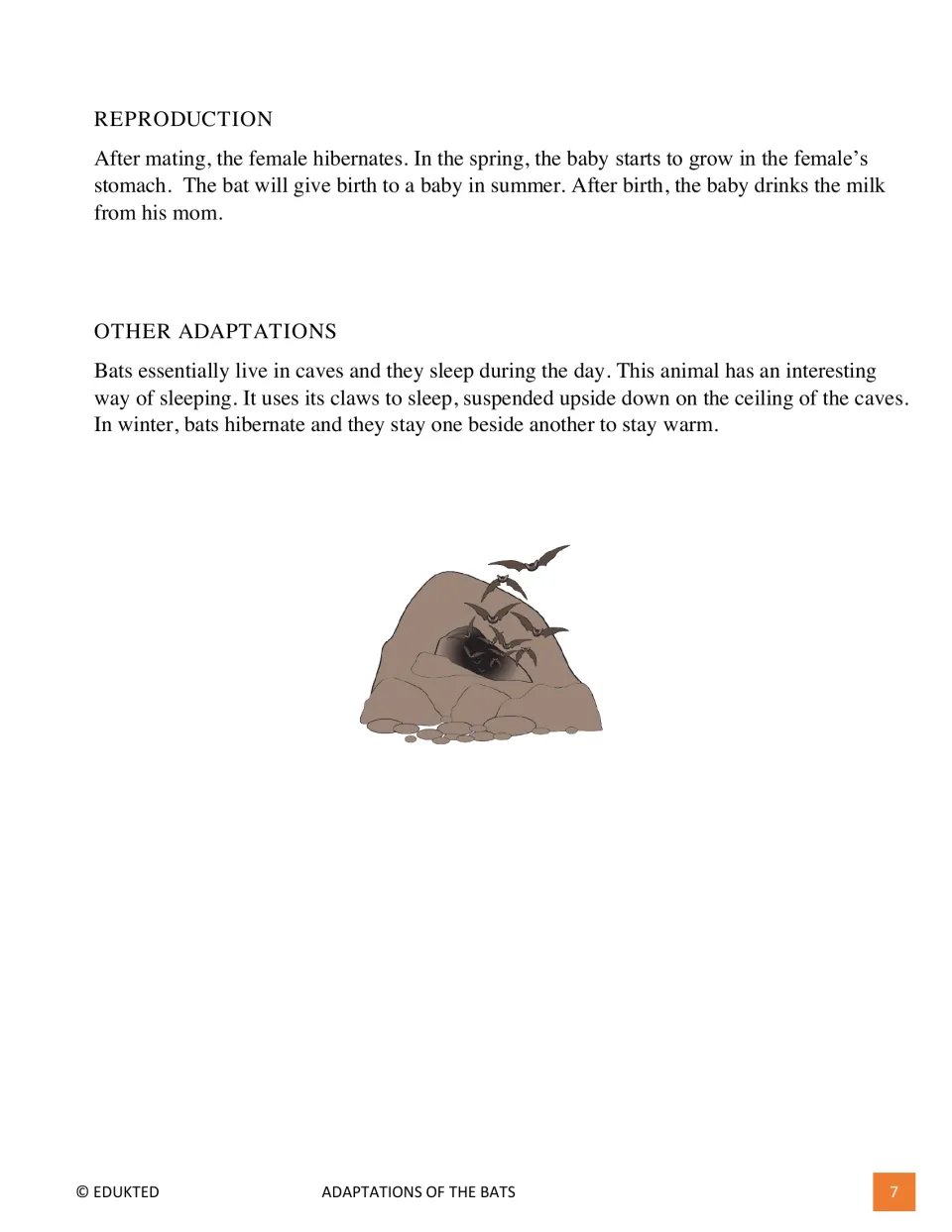 Second bat passage page covers reproduction, nursing young, sleeping upside down in caves, and hibernation