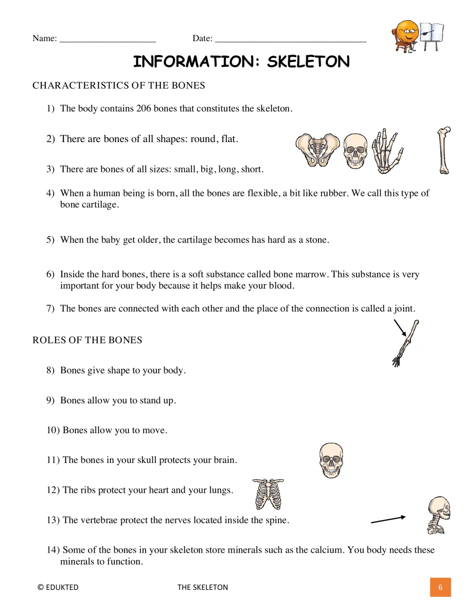 Skeleton reading part 1 presents facts 1–14 about bone characteristics, marrow, joints, support, and protection