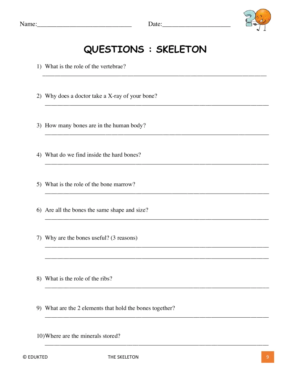 Skeleton comprehension questions 1–10 ask about vertebrae, X-rays, bone count, marrow, ribs, and mineral storage