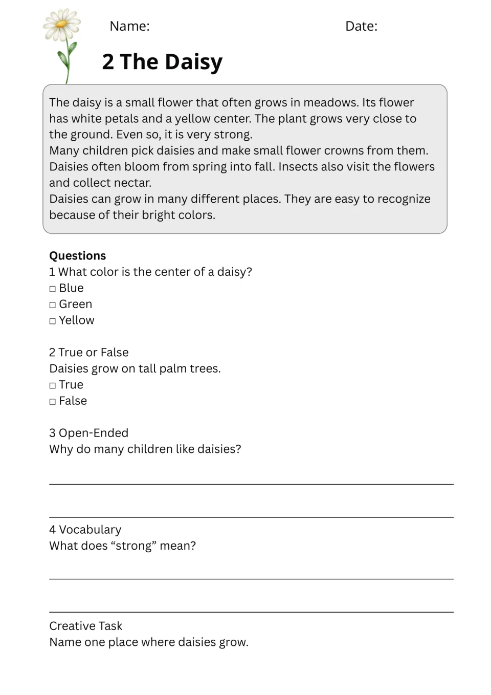 The Daisy passage: students read about daisies, then answer color, true or false, open-ended and vocabulary questions