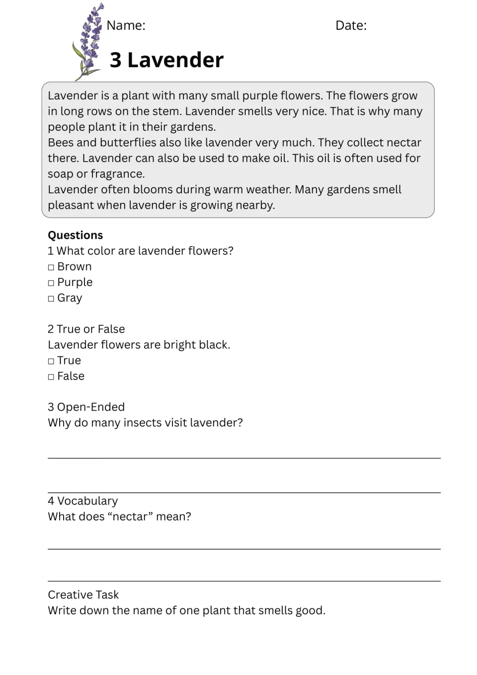 Lavender passage: students read about the purple flower, then answer questions and a vocabulary item on nectar