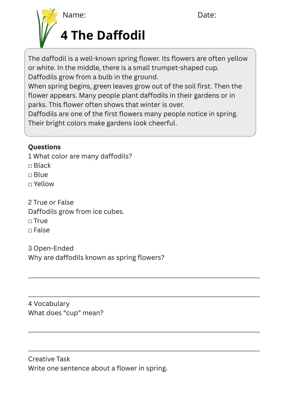 The Daffodil passage: students read about this spring flower, then answer questions and define the word cup