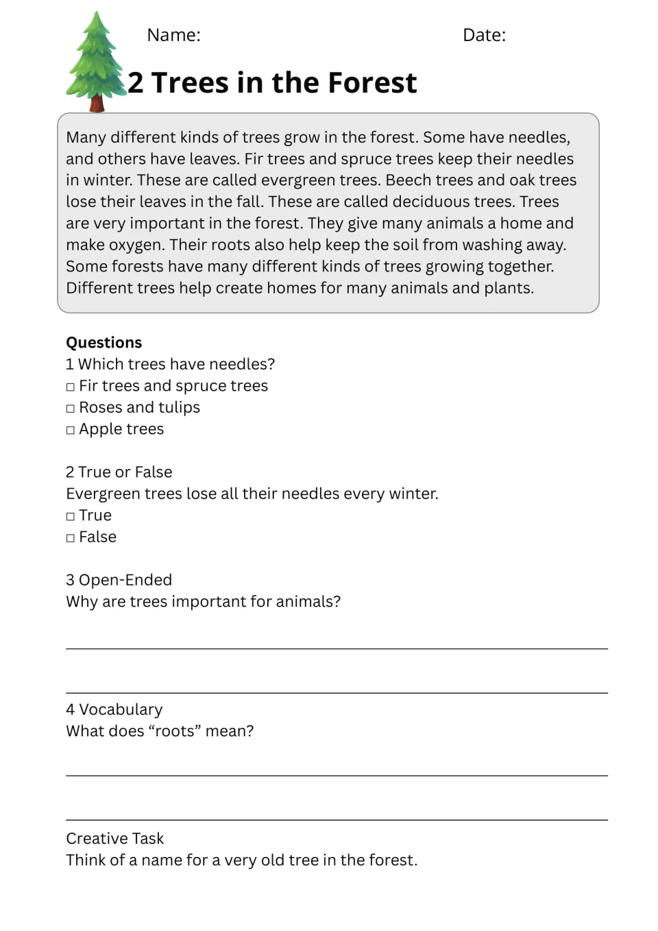 Trees in the Forest: students read about evergreen and deciduous trees, answer questions and explain the word roots