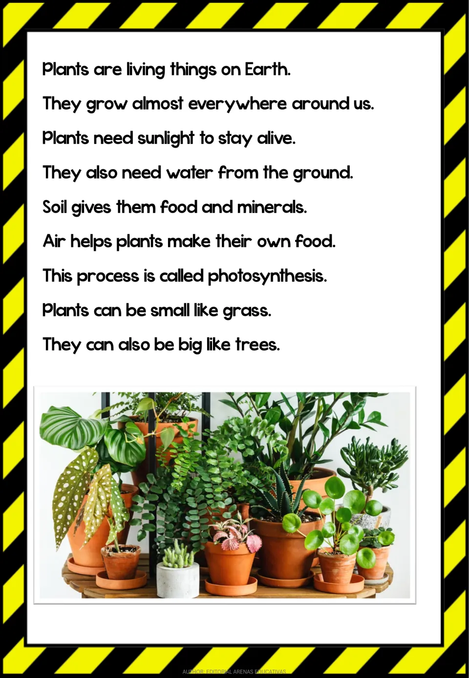 Plants reading passage, part 1: sunlight, water, soil, air, and photosynthesis, with a photo of potted plants