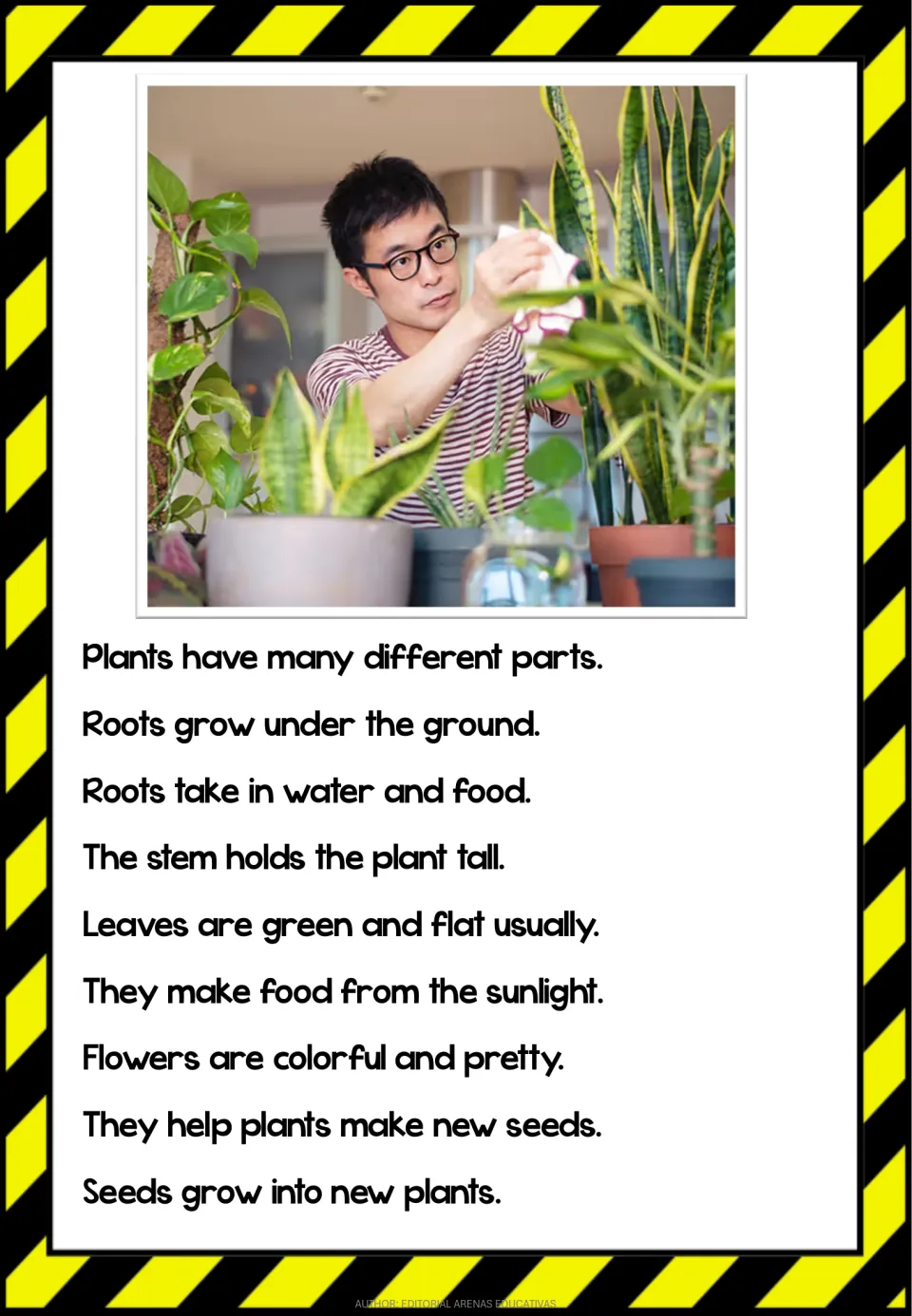 Plants reading passage, part 2: roots, stems, leaves, flowers, and seeds, with a photo of plant care