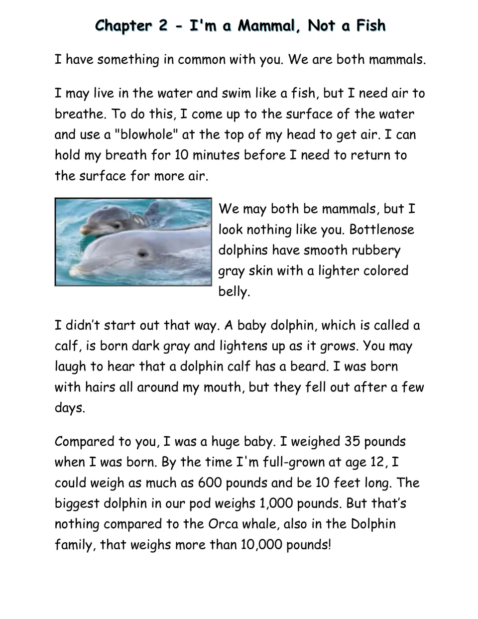 Chapter 2 reading passage explains dolphins as mammals, breathing through blowholes, calves, and growth