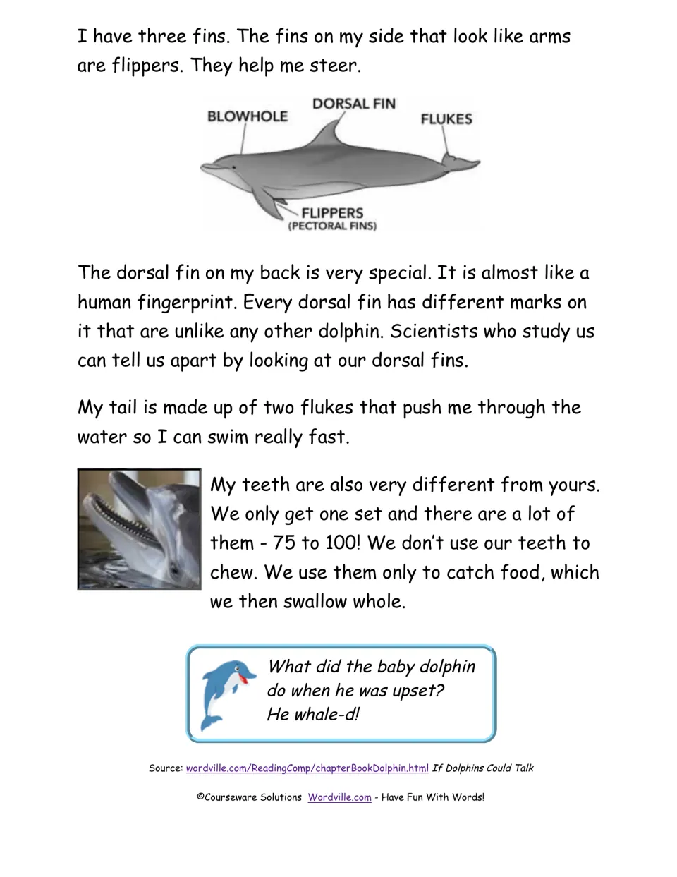 Chapter 2 passage continues with a labeled dolphin diagram, fins, flukes, teeth, and a baby dolphin riddle