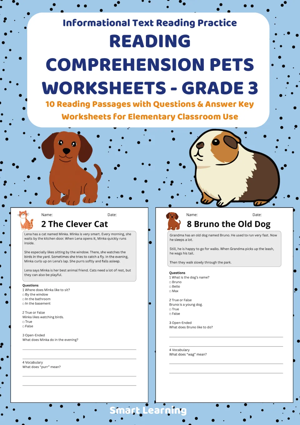 Cover of the Grade 3 pet reading packet advertising 10 passages with questions and an answer key