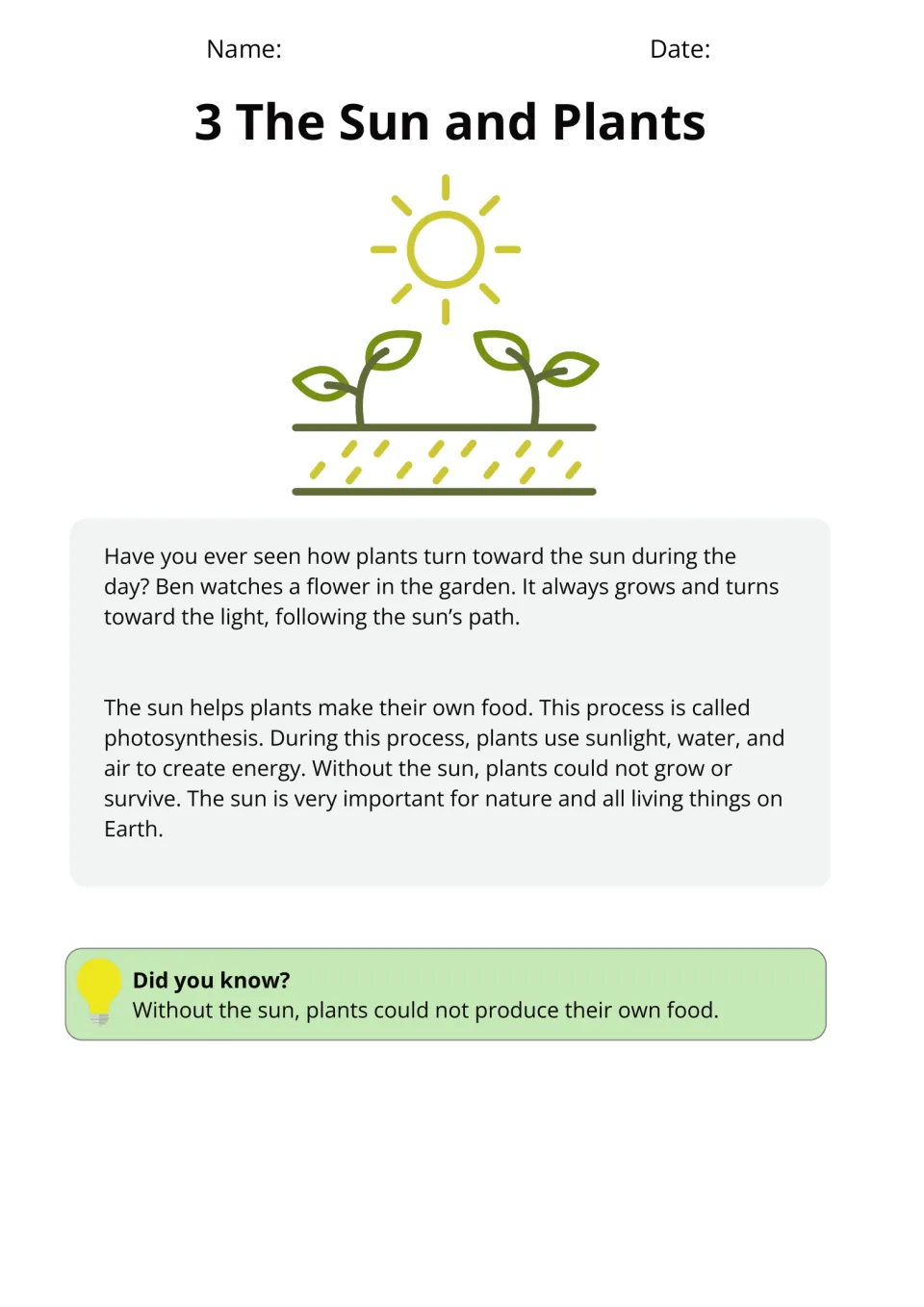 The Sun and Plants: Ben watches a flower turn to the light, then photosynthesis with sunlight, water and air is explained