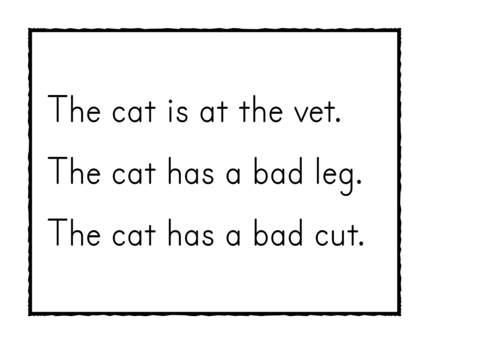 CVC sentences about a cat at the vet to read aloud: The cat is at the vet, has a bad leg, has a bad cut