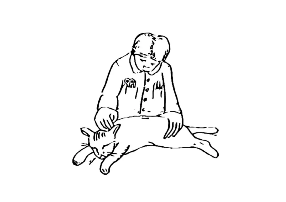 Illustration to discuss and colour: a person in a buttoned coat strokes a cat lying on its side, for the vet page
