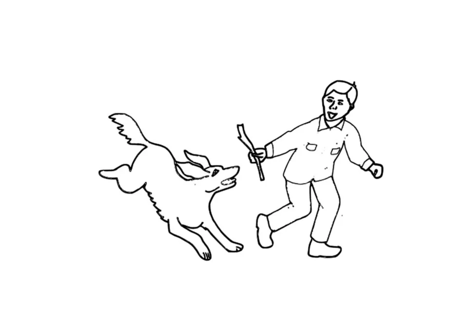Illustration to talk about and colour: a boy holding a stick runs with a leaping dog, matching the Sam and dog sentences