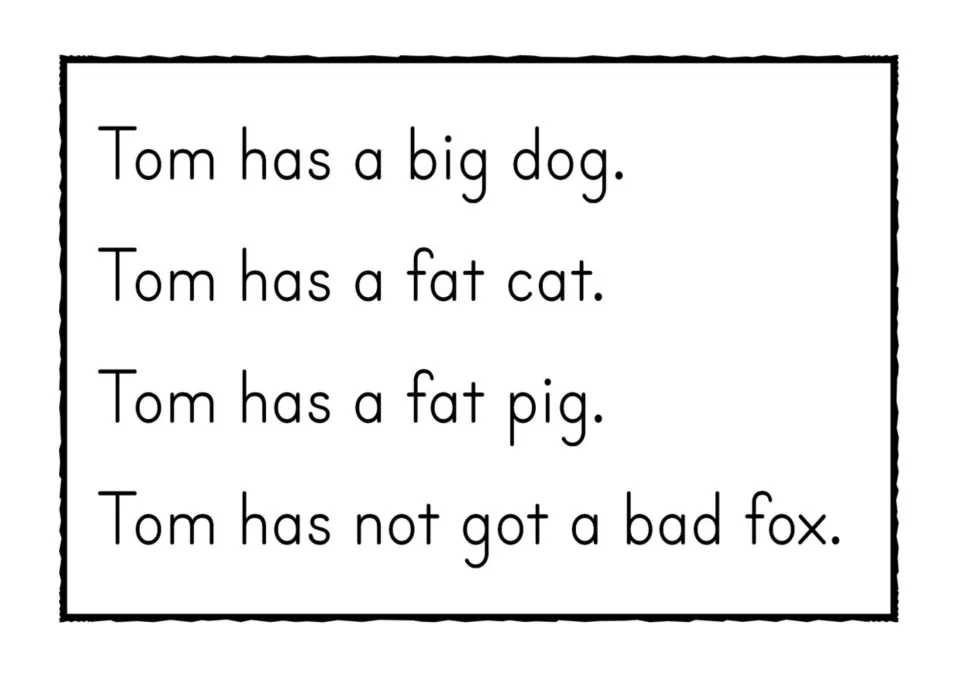 CVC sentences about Tom's animals to read aloud: a big dog, a fat cat, a fat pig, and Tom has not got a bad fox