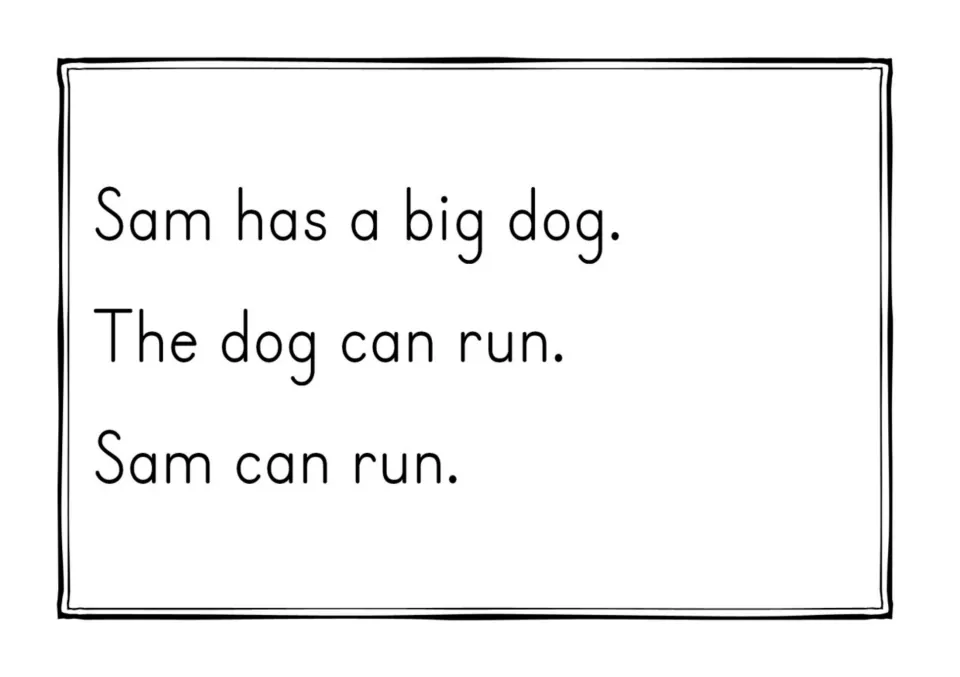 Decodable CVC sentences: students read Sam has a big dog, The dog can run and Sam can run, practising short vowels