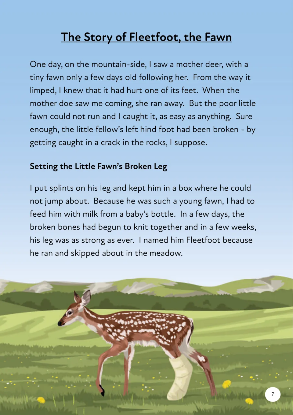 Fleetfoot story opening describes finding an injured fawn, splinting his leg, and feeding him bottled milk