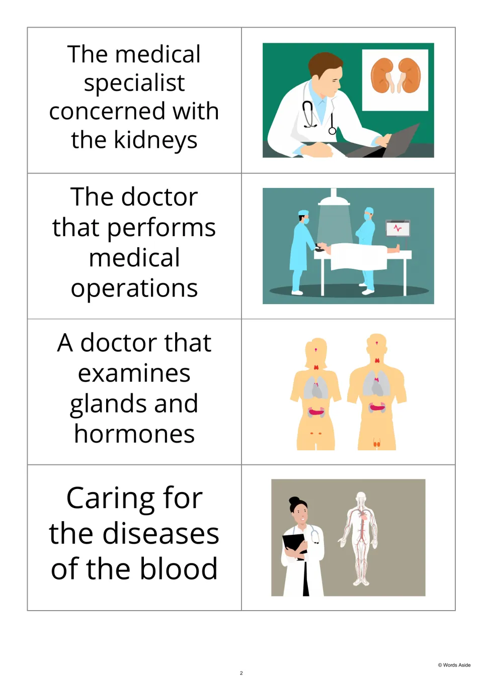 Definition-first flashcards 5–8 describe medical specialists for kidneys, surgery, hormones, and blood.