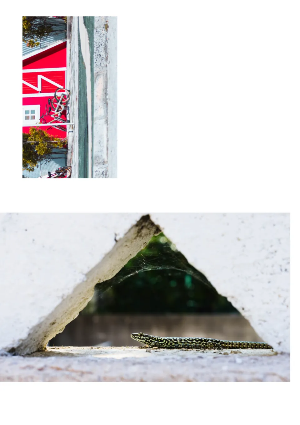 Triangle spotting photos: a sideways red building with white trim and a lizard in a triangular gap in a wall
