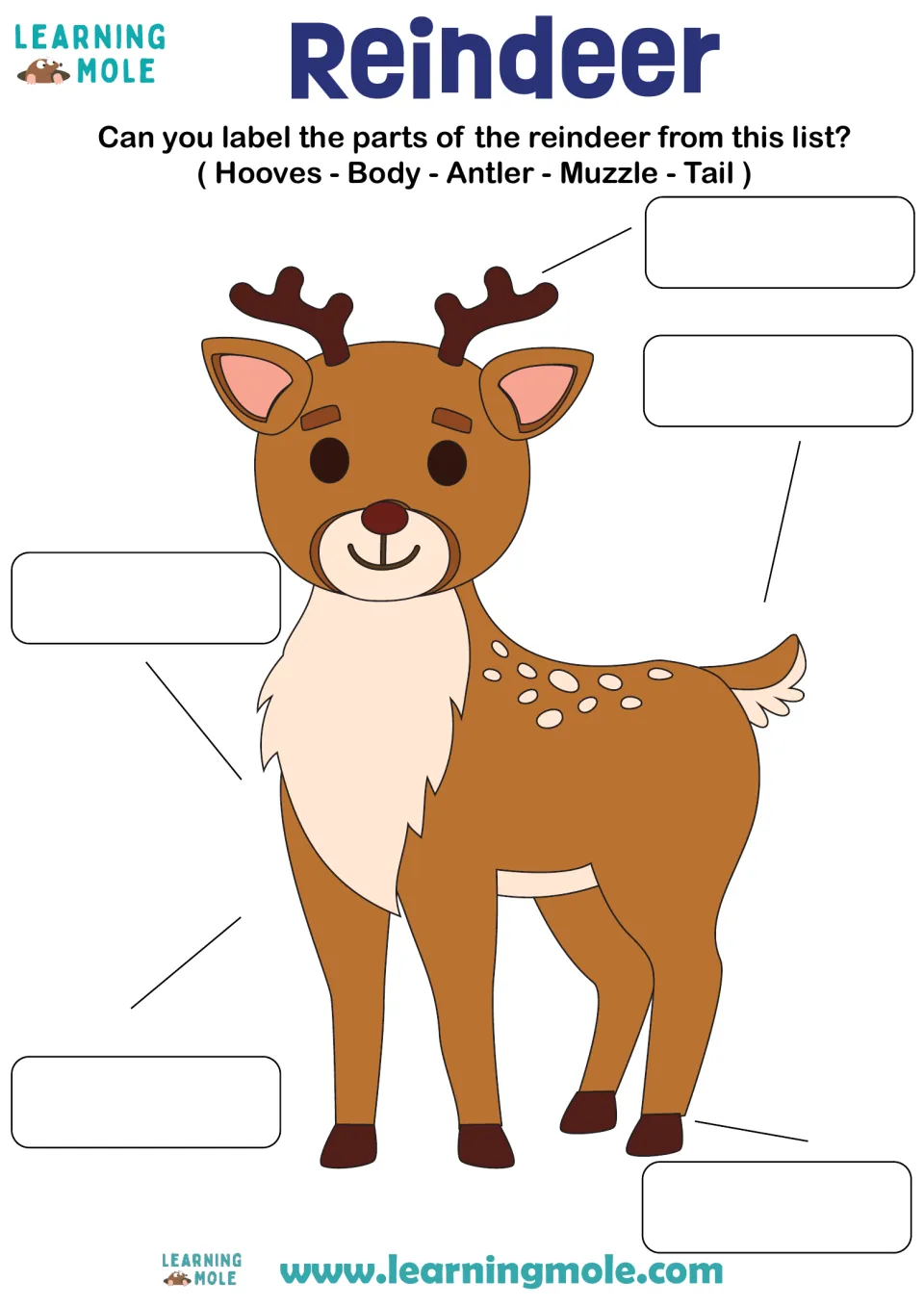 Reindeer body parts: students label a cartoon reindeer using hooves, body, antler, muzzle and tail from a word list